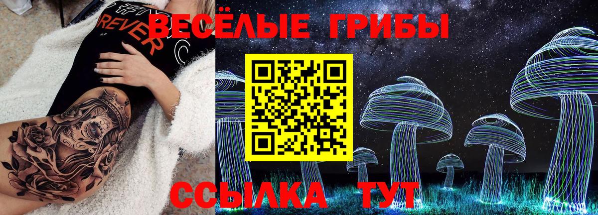 Белово  Галлюциногенные грибы Magic Shrooms  Вход с VPN  Псилоцибиновые грибы Psilocybe 